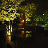 Lounge & Dining G - 