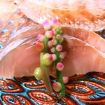 京口町　てるい - 鯖生寿司　モロヘイヤの花