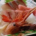 Izakaya Hide - 