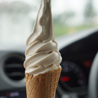 アグリーダック_0