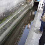 麺通団本に出てくる「いで」昔はここに、余った出汁を捨てていたらしい