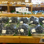 朝採り 四季菜市場 - 店内