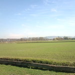 ほくほく庵 - 店舗から見る、外の風景。