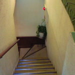 オステルリー・スズキ - 【'10/11/09撮影】地下１階の店内への入口