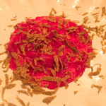 ボニュ - カルパッチョ