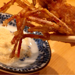 旨い料理・旨い酒 じょうじ - カラスミ塩を付けて頂きます♪