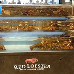 Red Lobster - 店の入口付近のライブロブスター
