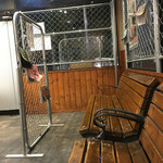 FLAT HAND フジ家 - 