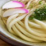 Yamagami Udon - 綺麗な麺ですよっ