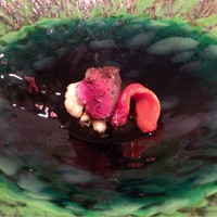 IL TEATRINO DA SALONE - 短角牛 フランコバルディ