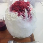 埜庵 - 2016年8月：彩り