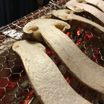 比良山荘 - 2016年10月初旬。