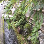 比良山荘 - 2016年10月初旬。