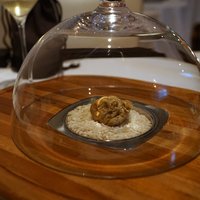カーザ ヴィニタリア - アルバ産白トリュフ