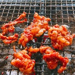 ろばたやき山ろく - ホルモーーン（￣+ー￣）