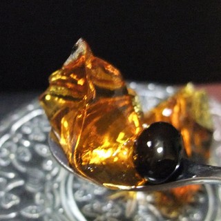 うんとん処 春・夏・秋・冬_0