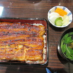 うなぎ 魚政 - うな重 坂東太郎 特上