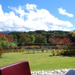 レストラン 竜神亭 - 窓際席からの眺め