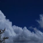 レストラン 竜神亭 - 窓際席からの眺め