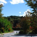 レストラン 竜神亭 - 食後遊歩道を散策しました