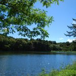 レストラン 竜神亭 - これが竜神池