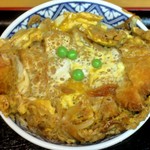 富士屋食堂 - カツ！ドンっ！！