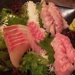 宮崎料理きかんたろby侍 - お刺身盛り合わせ