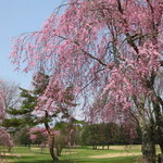 Karuizawa 72 Golf Nishi Ko-Su