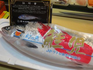 寿司処　旬（しゅん） - 小樽（寿司）の写真