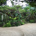 琉球茶房あしびうなぁ - 