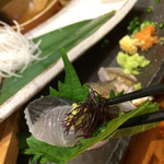 Sakana To Sake Hanatare - 旬の魚魂盛り