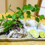 Suzue - 淡路島産丸穴子、塩、だいだいポン酢
        能登のとり貝