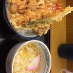 Tendon Tenya - 