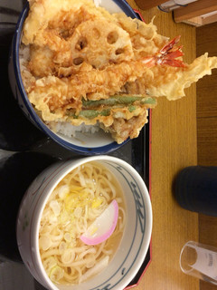 Tendon Tenya - 