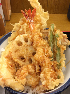 Tendon Tenya - 