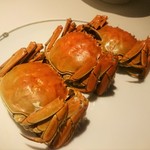 中国飯店 富麗華 - 上海蟹女子のみなさん