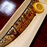 Torigen - 秋刀魚