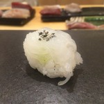 あま木 - 剣先イカ