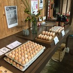 小林 地鶏の里 - 玉子お持ち帰り販売