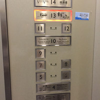 ケヤキ - 