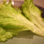 気らく家 - 2016年10月　サニーレタス