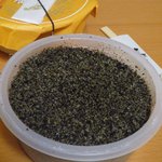 ふるや古賀音庵 - 黒胡麻わらび餅♪真っ黒！