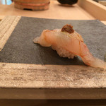 寿し ひでたか - ぼたんえび自家製えびみそのせ