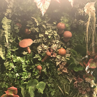 Shangri-La's secret ROPPONGI - 