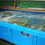 Kakigoya Akkeshi Suisan - 弊社、厚岸水産が北海道あっけしで管理する水槽。ここで48時間紫外線処理などをおこない安心安全な牡蠣をお客様へご提供しております。