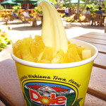 Dole Plantation - 2016年の｢ドールホイップ カップ入り｡トッピング付き｡｣＄6.54