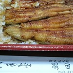 Unagi Tajima - 