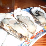 松島 寿司幸 - 牡蠣
