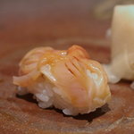 鮨 橋口 - 赤貝（あかゞひ）