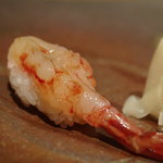 鮨 橋口 - 縞蝦（しまえび）